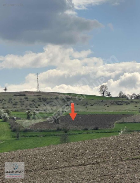 SEZER EMLAK & GAYRİMENKUL'DEN YAĞCI MAHALLESİ 13,354 m² TARLA