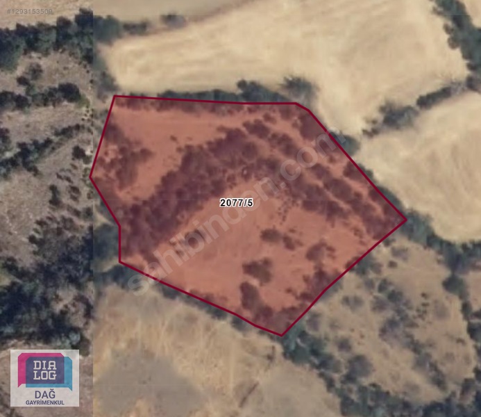DİALOG DAĞ / MİHALIÇÇIK OBRUK 4939 m2 SATILIK SULU TARLA