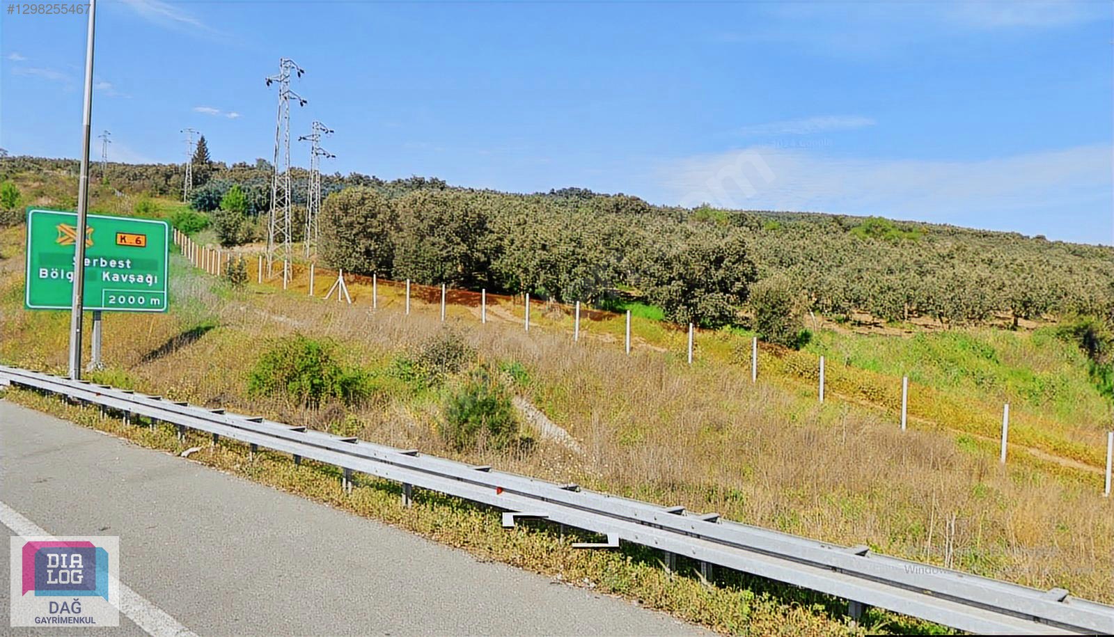 DİALOG DAĞ / BURSA GEMLİK ENGÜRÜCÜK 449 m2 SATILIK ZEYTİNLİK