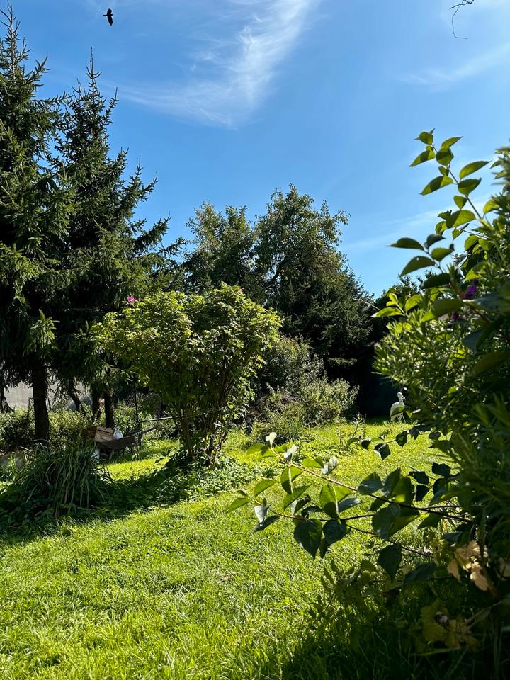 3-Room Apartment for Sale — Frankfurt